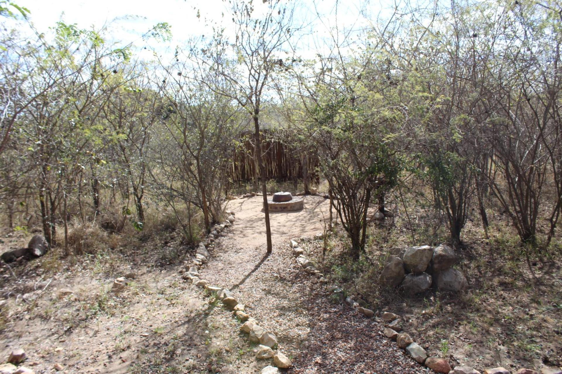 Mjejane Bush Camp By Dream Resorts Hectorspruit Экстерьер фото