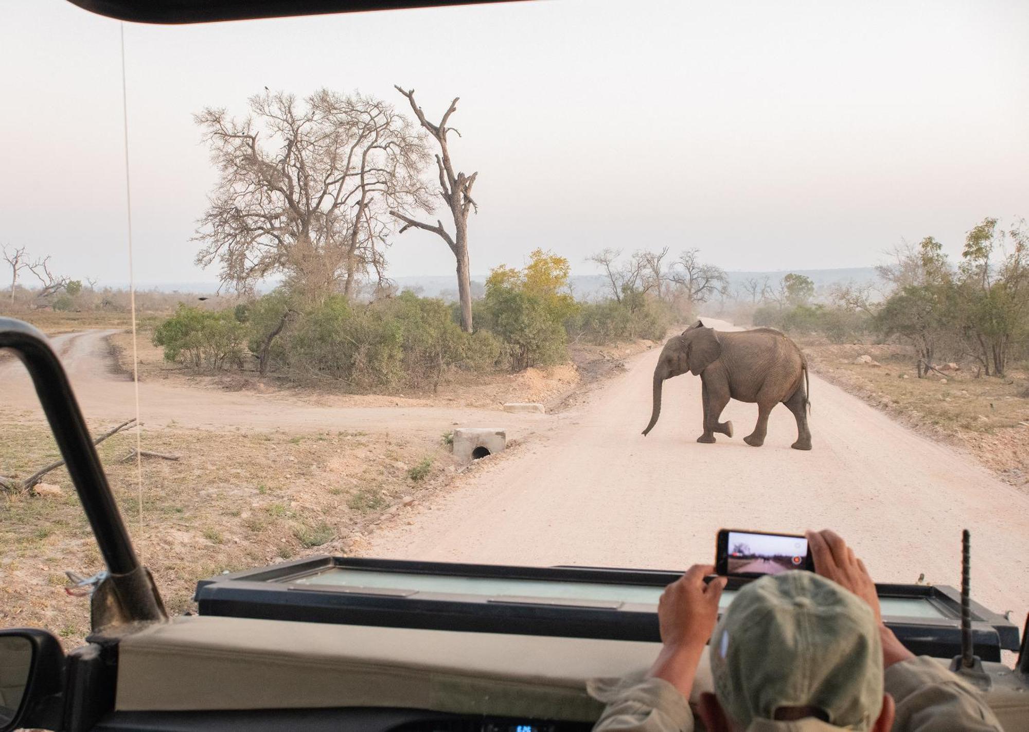 Mjejane Bush Camp By Dream Resorts Hectorspruit Экстерьер фото