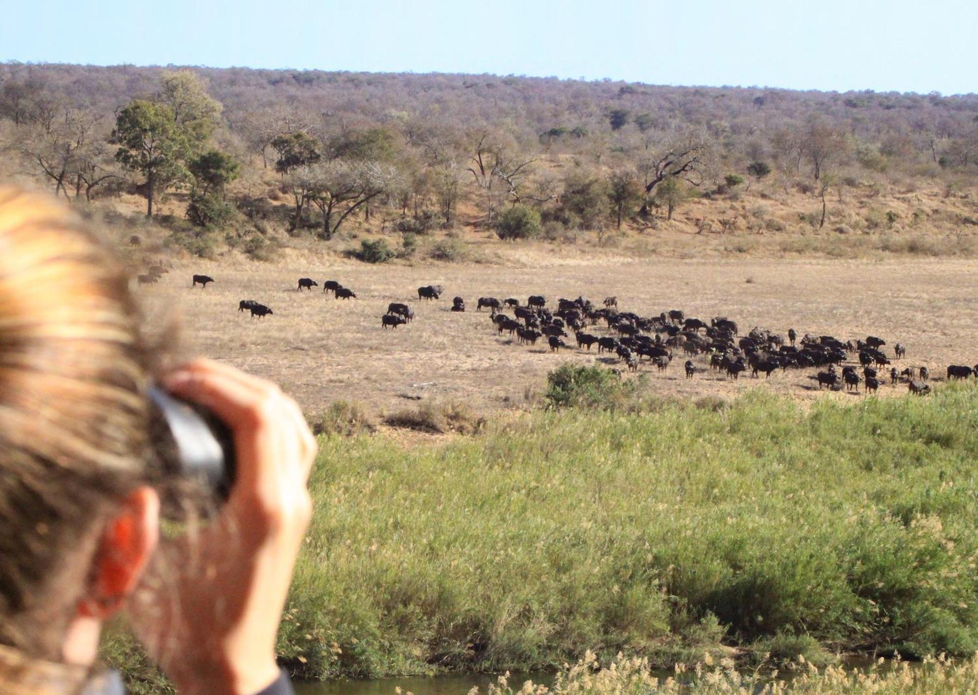 Mjejane Bush Camp By Dream Resorts Hectorspruit Экстерьер фото