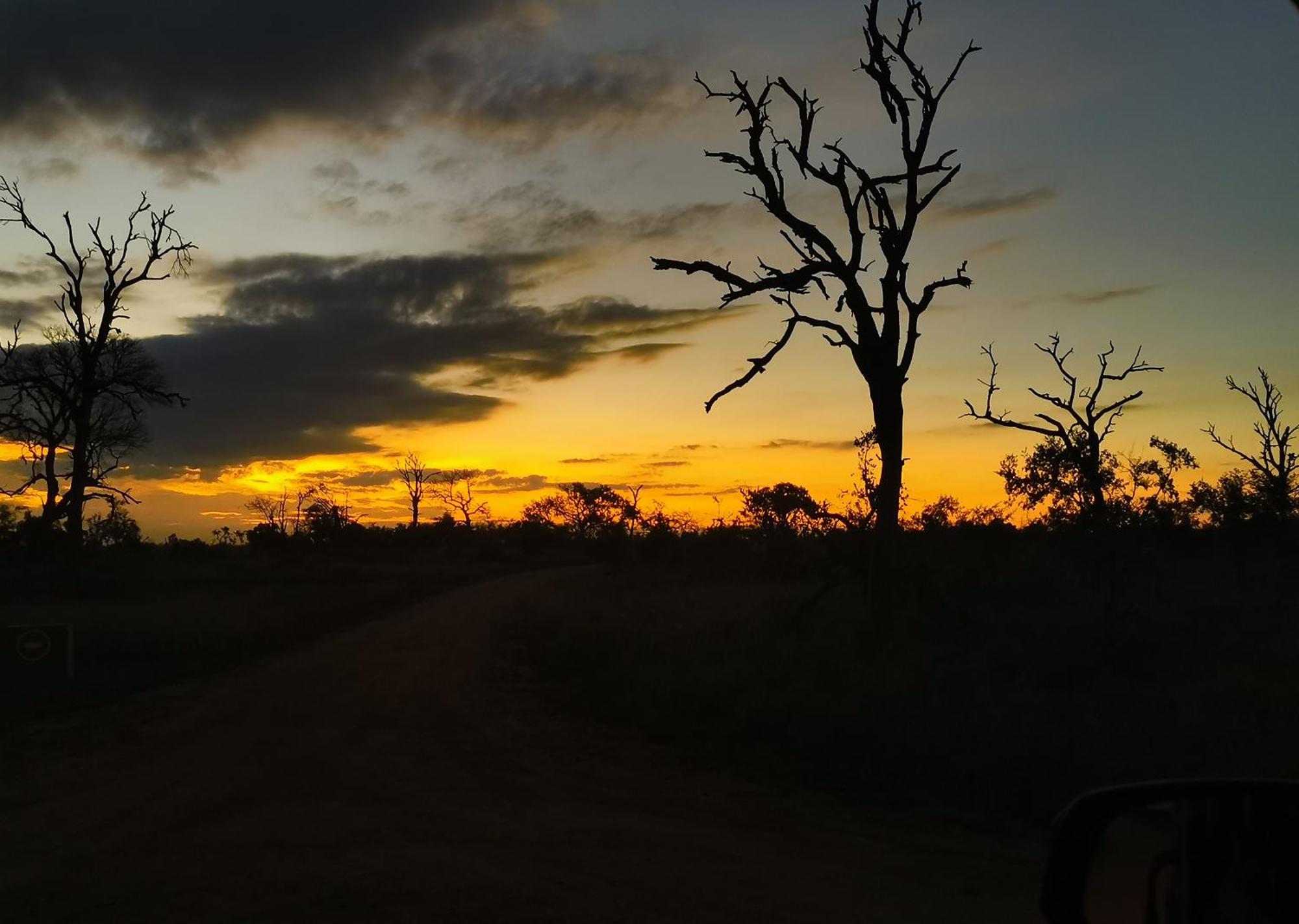 Mjejane Bush Camp By Dream Resorts Hectorspruit Экстерьер фото