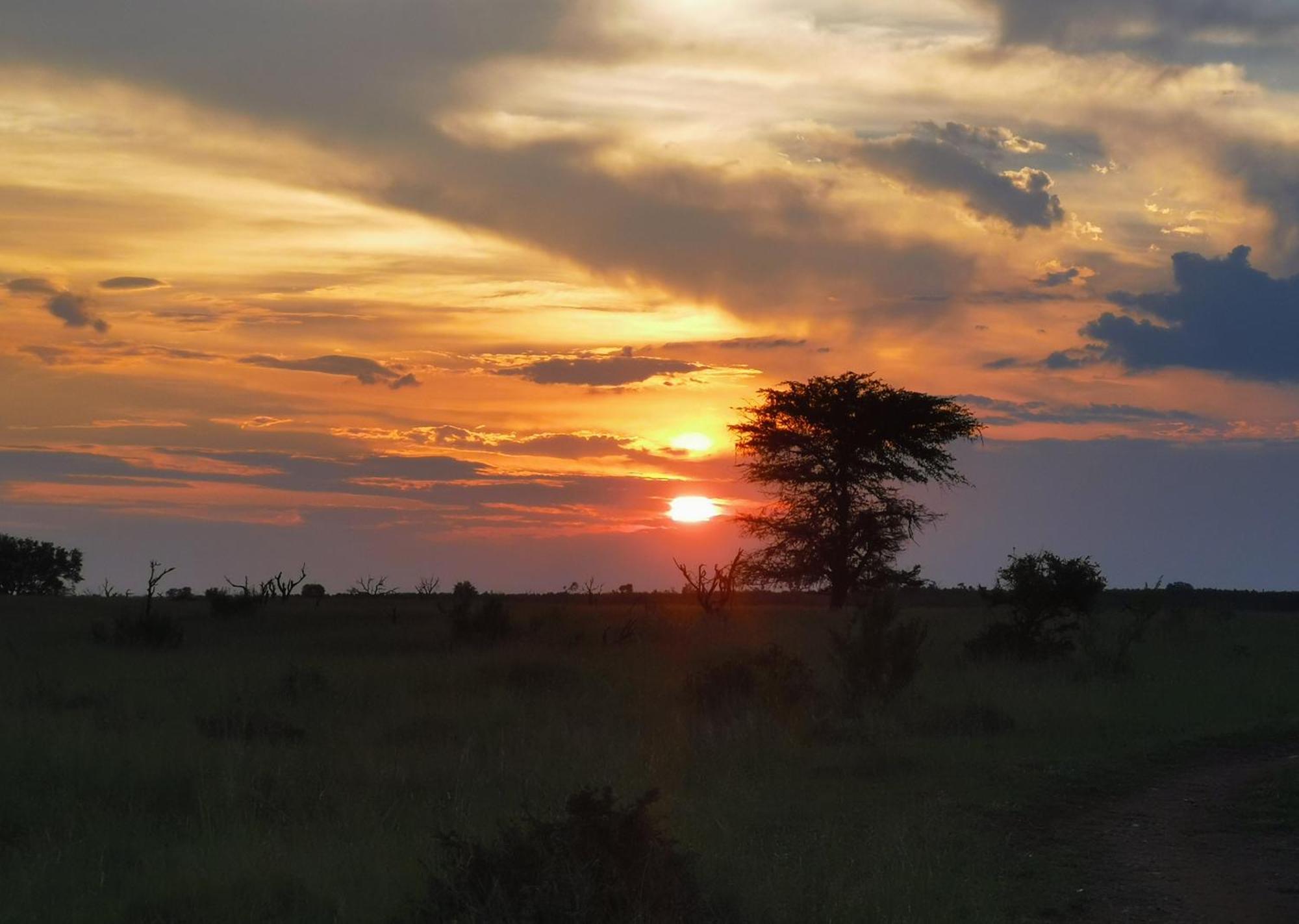 Mjejane Bush Camp By Dream Resorts Hectorspruit Экстерьер фото