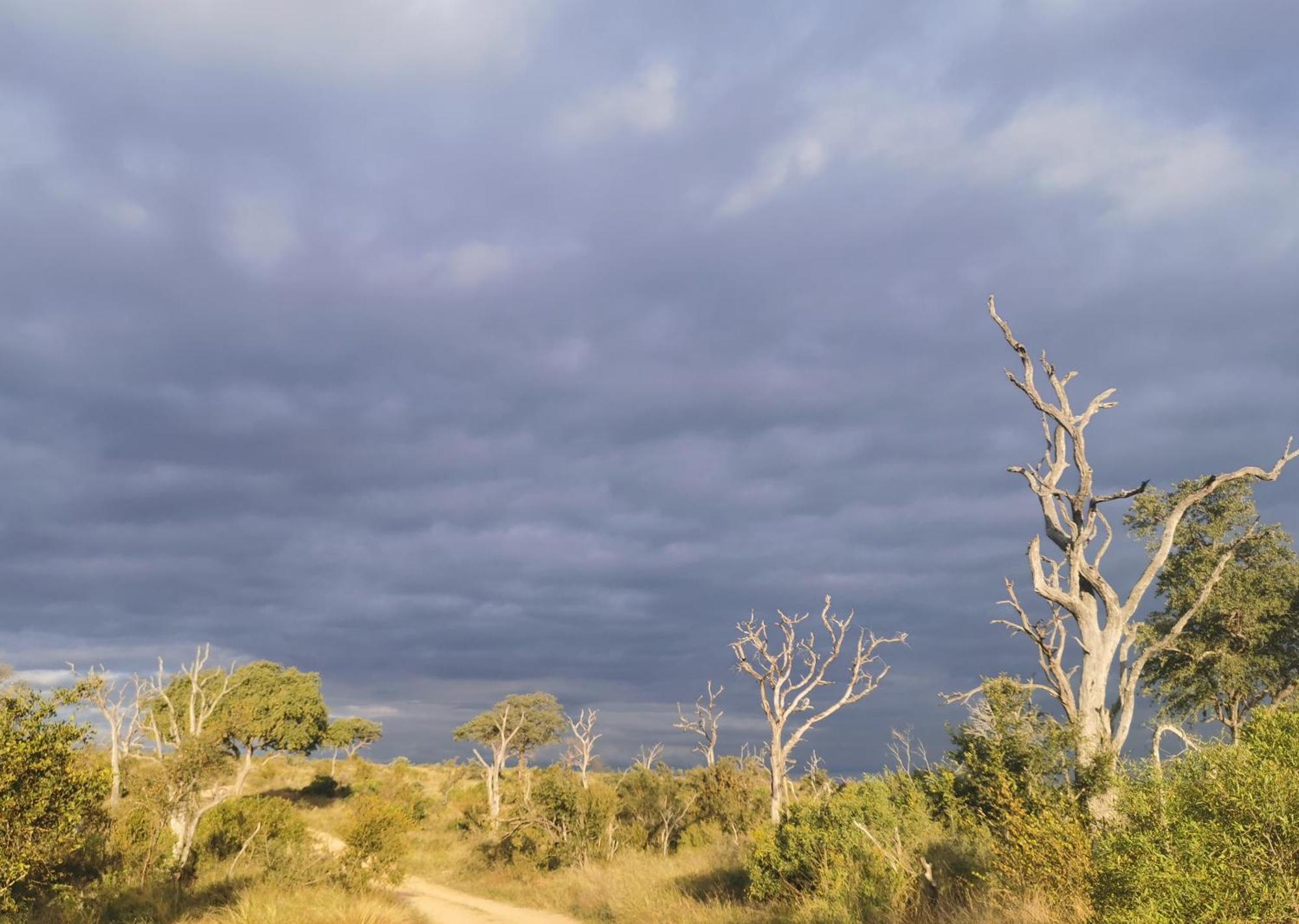 Mjejane Bush Camp By Dream Resorts Hectorspruit Экстерьер фото