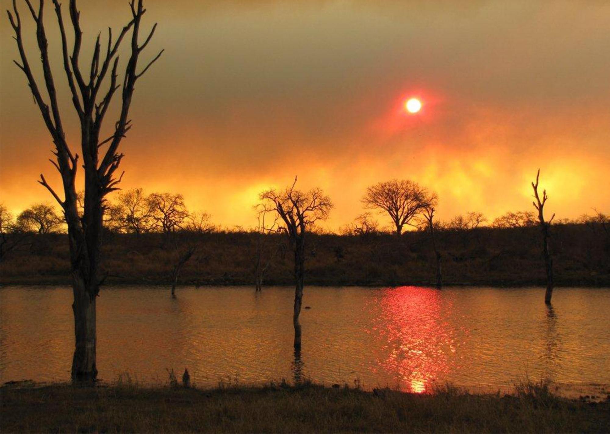 Mjejane Bush Camp By Dream Resorts Hectorspruit Экстерьер фото