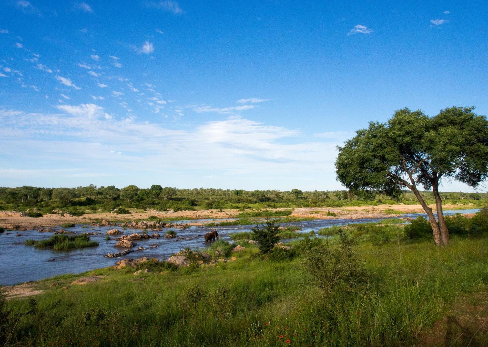 Mjejane Bush Camp By Dream Resorts Hectorspruit Экстерьер фото